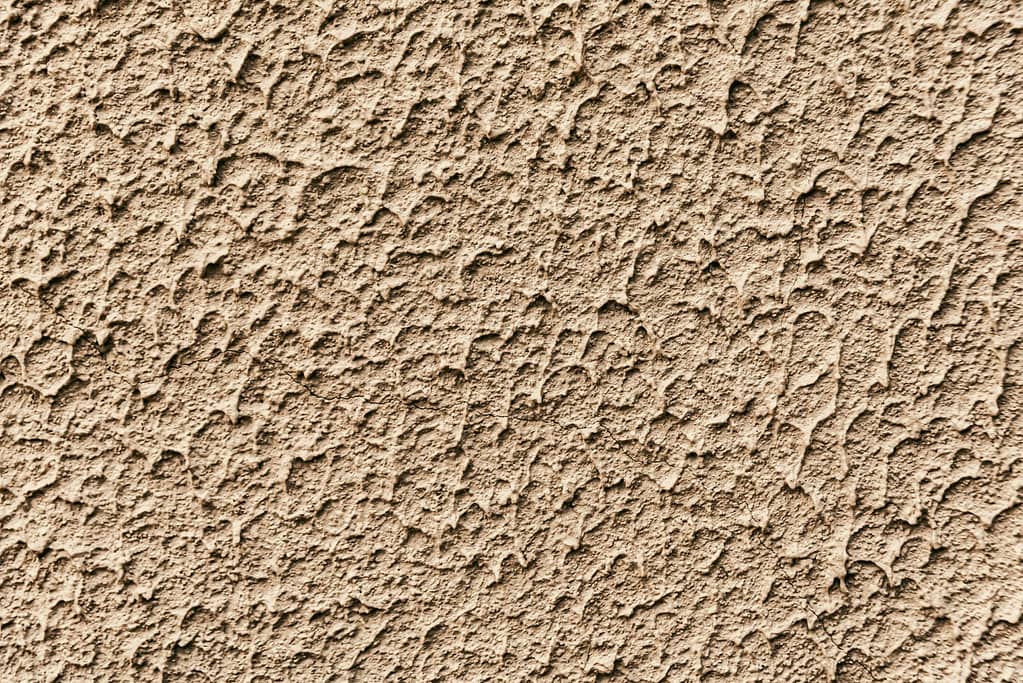 Stucco Crocodile Color