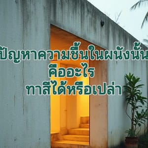 ผนังความชื้นเกิดจากอะไร